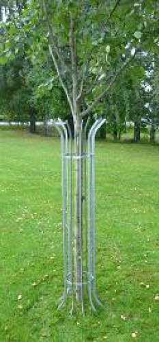 korkea puunrunkosuoja